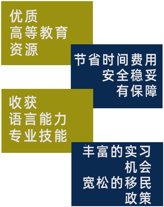 说明:四张